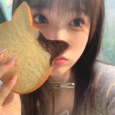 新最佳拍档